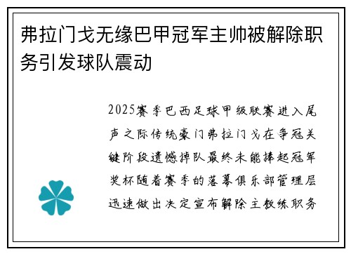 弗拉门戈无缘巴甲冠军主帅被解除职务引发球队震动 弗拉门戈无缘巴甲冠军主帅被解除职务引发球队震动